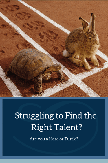 WP Hare and Turtle email nd wp
